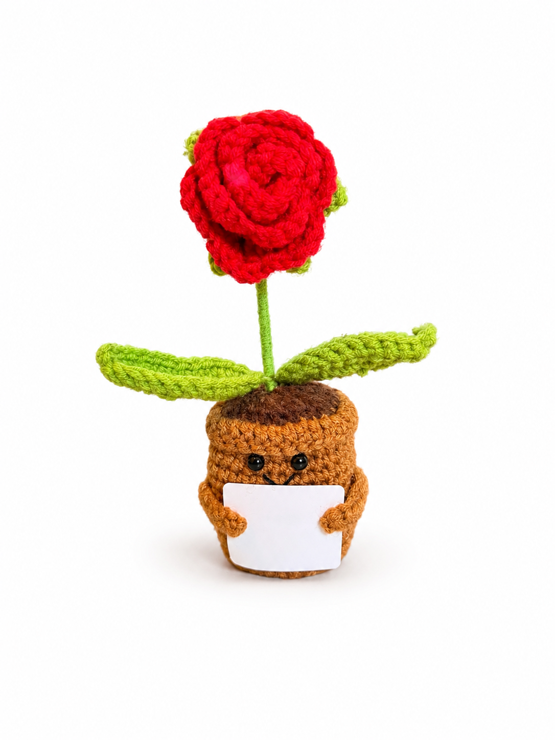 Amoflore Rosa rossa