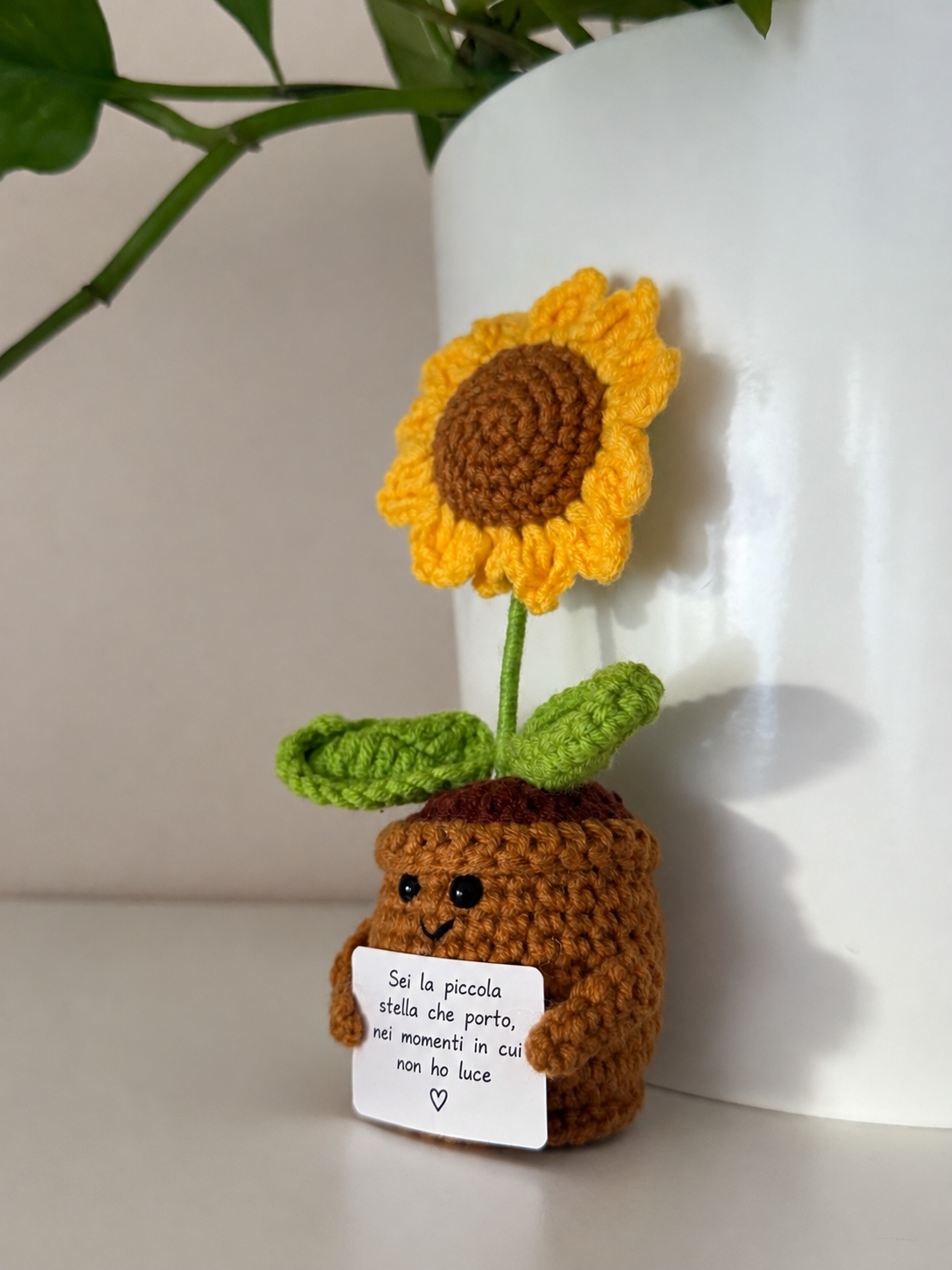 Amoflore Girasole
