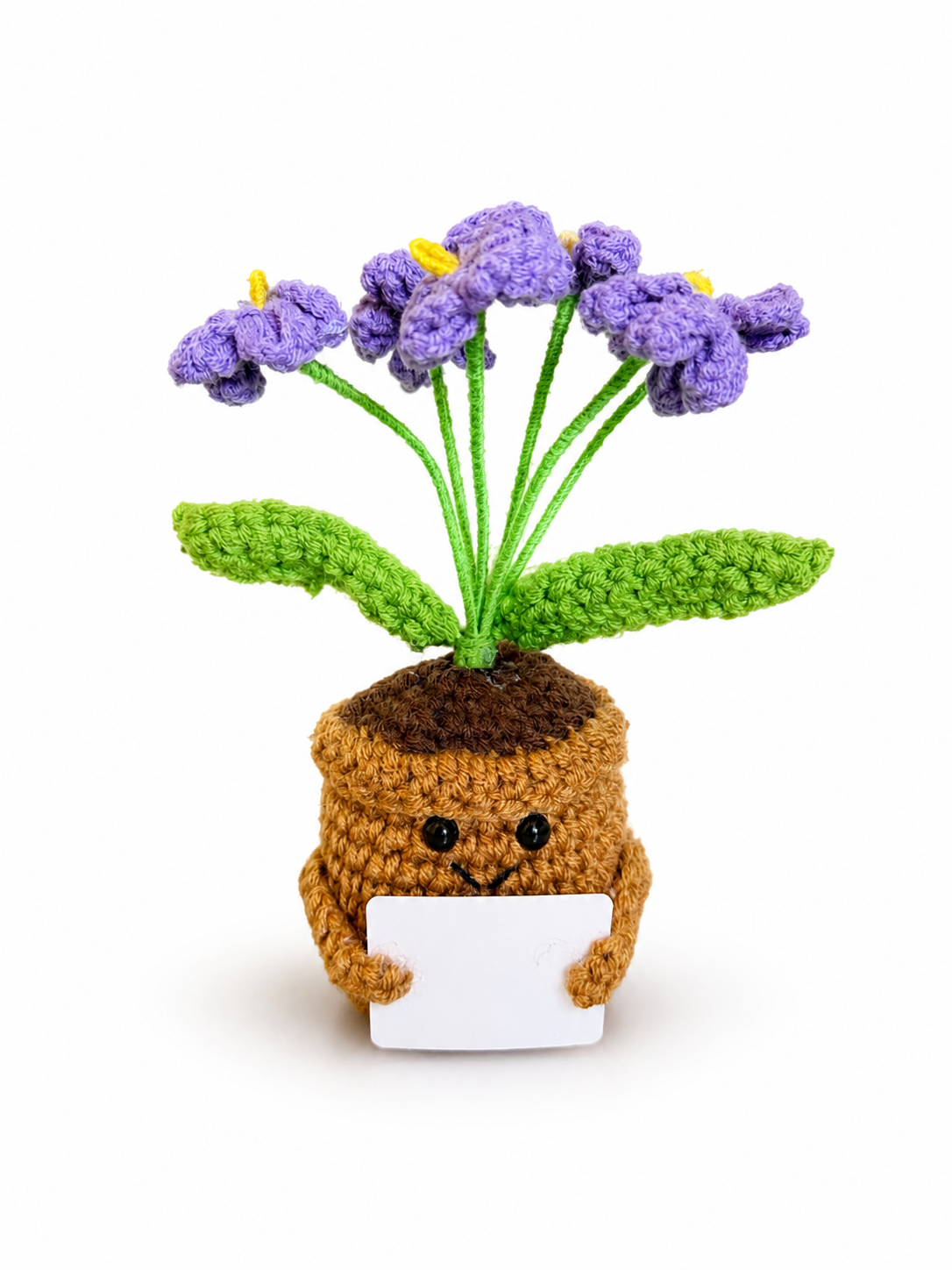 Amoflore Lavandula