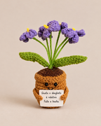 Amoflore Lavandula