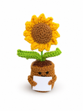 Amoflore Girasole