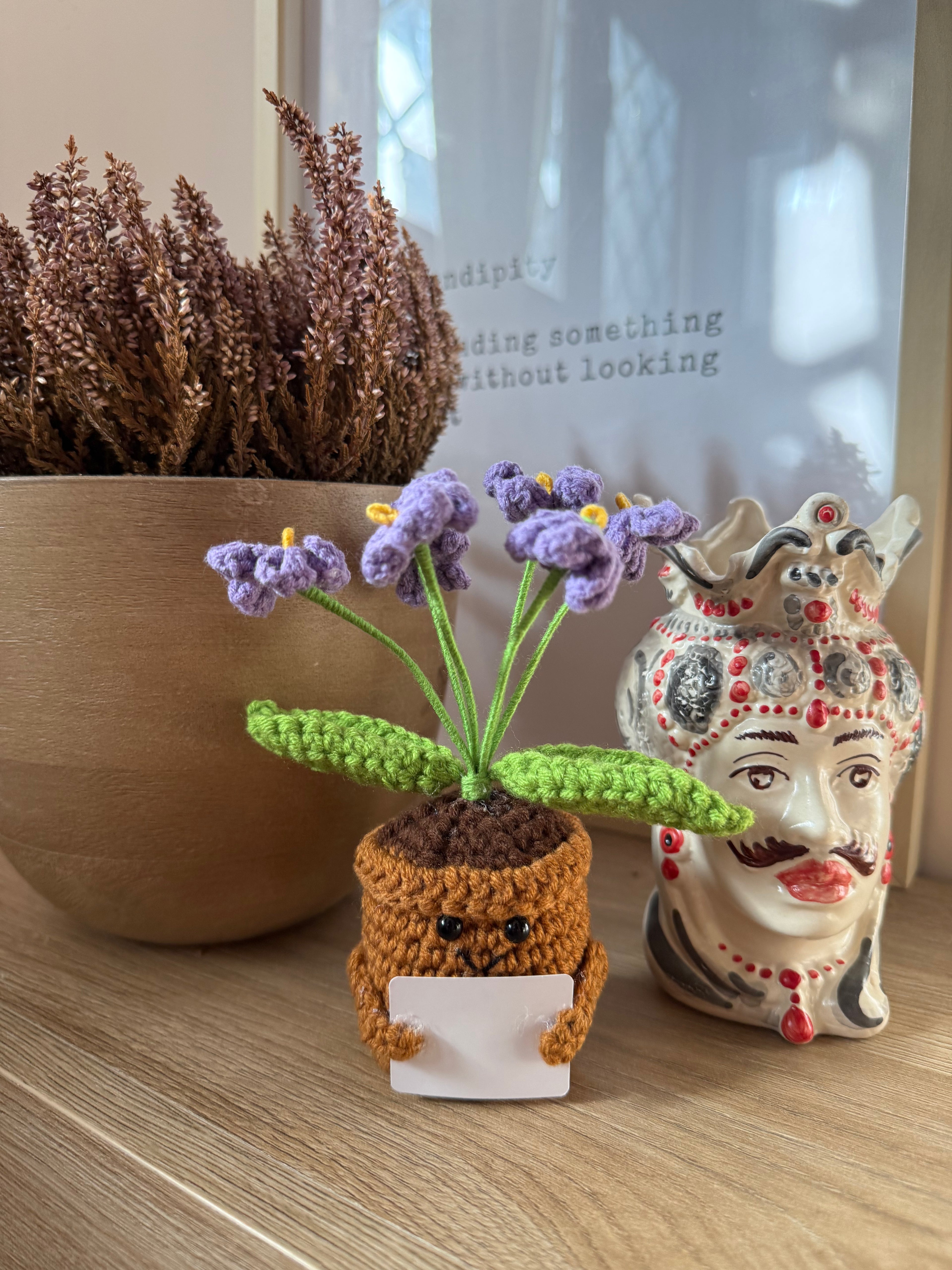 Amoflore Lavandula