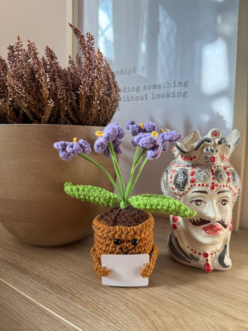 Amoflore Lavandula