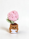 Amoflore Rosa